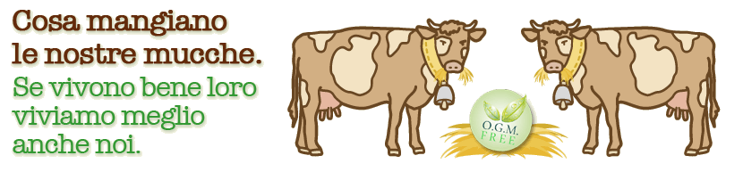 abbiamo scelto la qualità dei prodotti e la qualità della vita