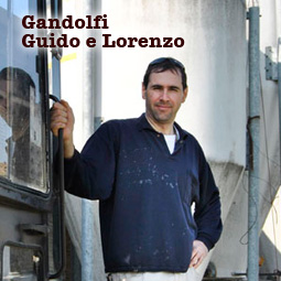 Gandolfi Guido e Lorenzo - azienda agricola