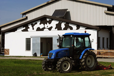 gandolfi Guido e Lorenzo