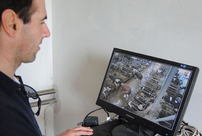 gandolfi Guido e Lorenzo