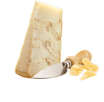 Parmigiano Reggiano